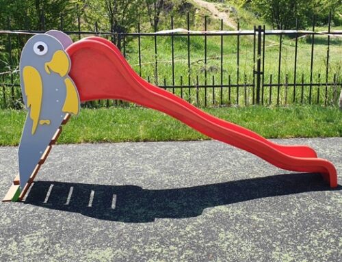 Tobogan papagal